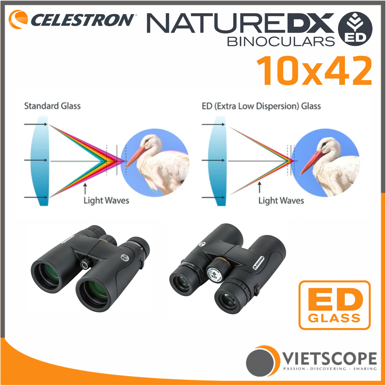 Nature DX ED 10x42