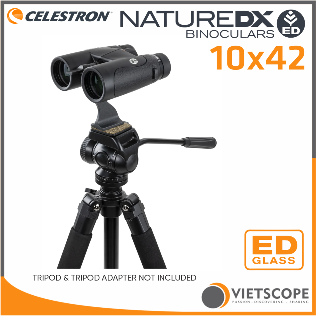 Nature DX ED 10x42